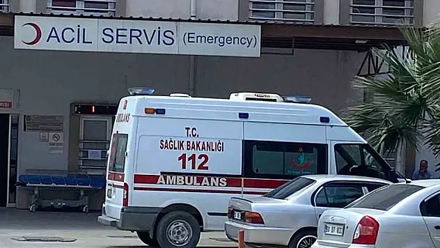 Tarlasında ot temizlerken yılan soktu