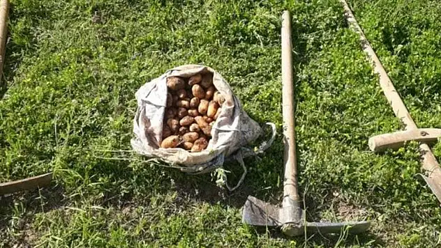 İzinsiz salep soğanı toplayan kişiye rekor ceza