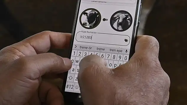 3 adımda sorgulama! 'Tarım Cebimde' uygulamasıyla kurbanlık bilgileri cepte