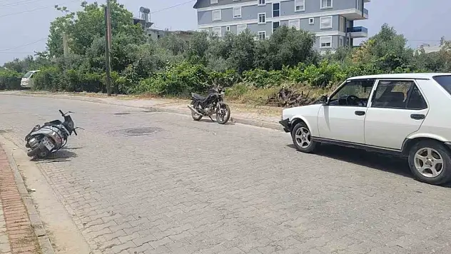 Antalya'da arı trafik kazasına neden oldu!