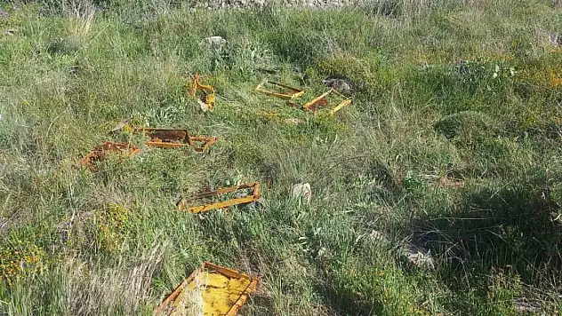 Aç kalan ayılar arı kovanlarına saldırdı