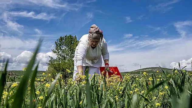 Oğlunun ölümüyle kendini doğaya verdi