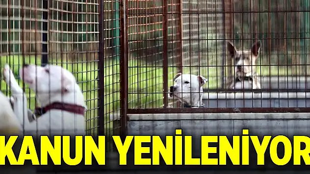 Hayvanları koruma kanunu yenileniyor