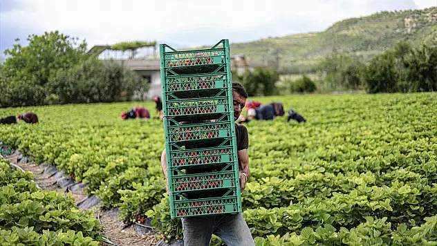 Konya'da tarım işçileri eylemde İş bırakacaklar
