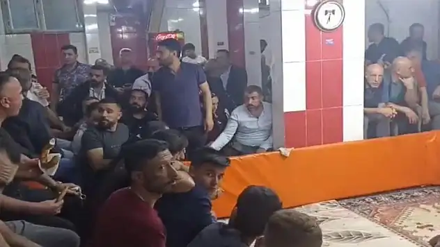 Horoz Koruma Derneğine 'Horoz Dövüşü' operasyonu: 7 gözaltı