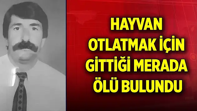 Hayvan otlatmak için gittiği merada ölü bulundu