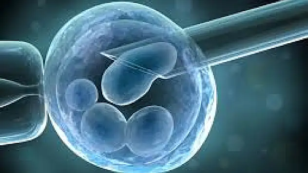 Yumurta Donasyonu: Umut Dolu Bir Seçenek