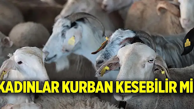 Kadınlar kurban kesebilir mi?