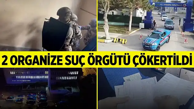 'Mahzen-50' operasyonlarında 2 organize suç örgütü çökertildi
