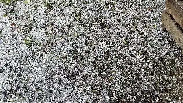 Dolu yağışı meyve ağaçları ve ekili arazilere zarar verdi