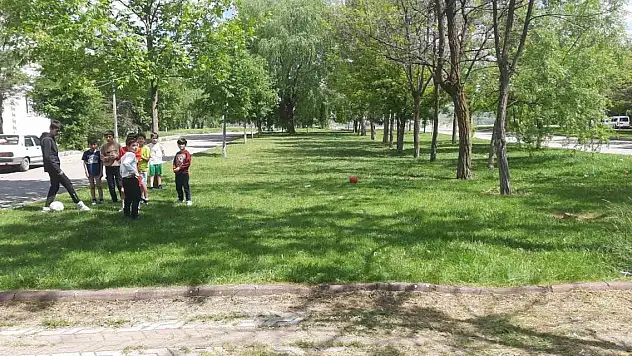 Başıboş köpekler Sivas'ta 13 yaşındaki çocuğa saldırdı