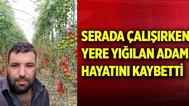 Serada çalışırken yere yığılan adam hayatını kaybetti