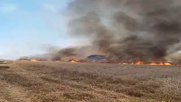 Saman balyaları cayır cayır yandı