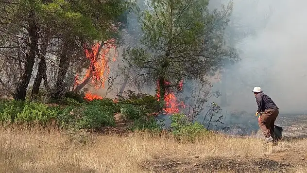 Gaziantep'te orman yangını