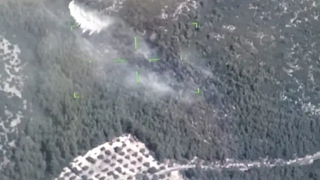 Muğla'daki orman yangını kontrol altına alındı