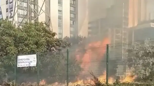 Bursa'da AVM bahçesinde yangın: Ağaçlık alan alev alev yandı