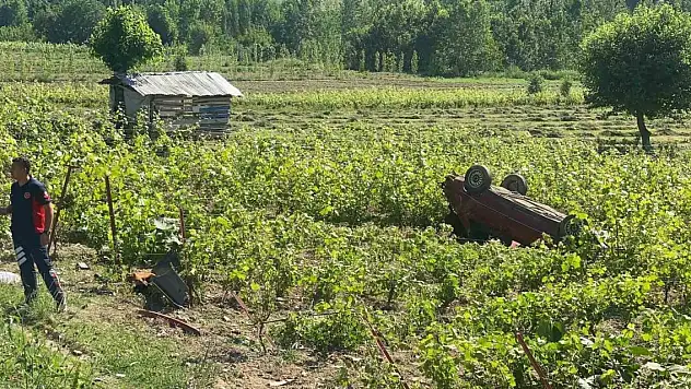 Direksiyon hakimiyetini kaybetti: Üzüm bağına devrildi