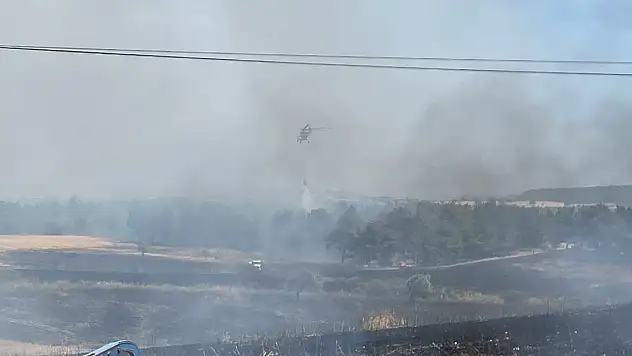 Çanakkale'de 5 dönüm orman, 11 dönüm tarım arazisi zarar gördü