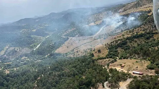 Balıkesir'de orman yangını