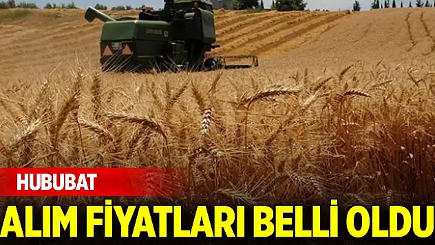 2024 hububat alım fiyatları belli oldu