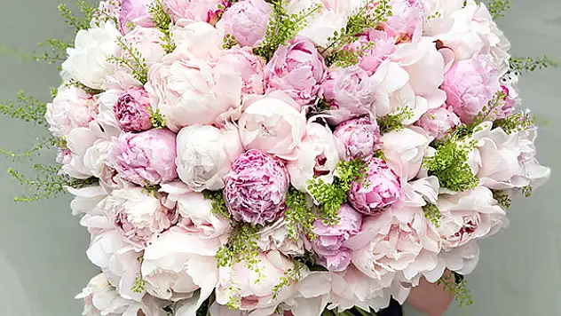 Şakayık: Baharın Muhteşem Kraliçesi