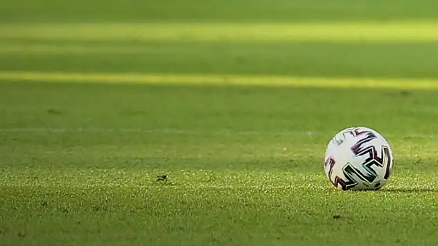 Avrupa Şampiyonası'nda Türkiye'nin rakiplerinden Çekya'yı tanıyalım