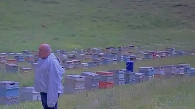 Arıcılar şimşeklerin arasında kaldı