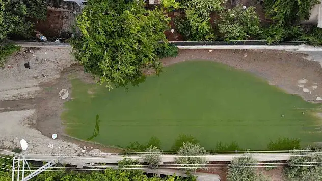 Vatandaşlarda merak uyandırdı! Yeşil renge büründü