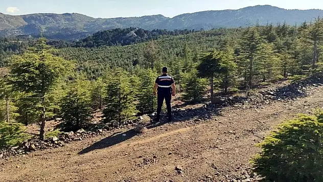 Türkiye genelinde 27 ilde ormanlara giriş yasaklandı