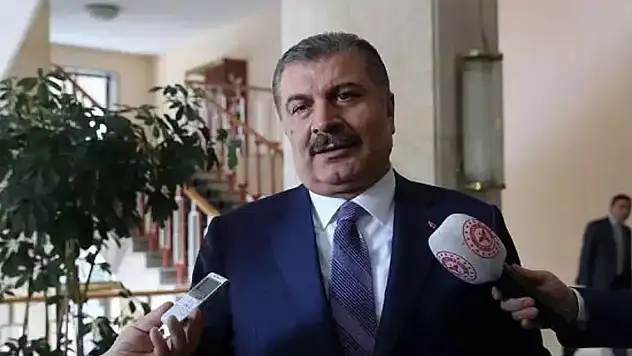 Bakan Koca'dan sokak köpeklerine ilişkin açıklama: Gönlüm ötanaziden taraf değil