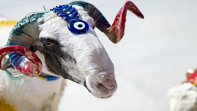 Kurban Bayramı 16 Haziran Pazar günü başlayacak