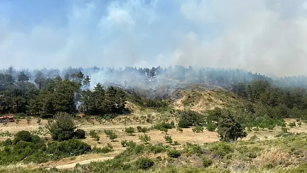 Çanakkale'de orman yangını... 9 uçak ve 5 helikopterle müdahale ediliyor