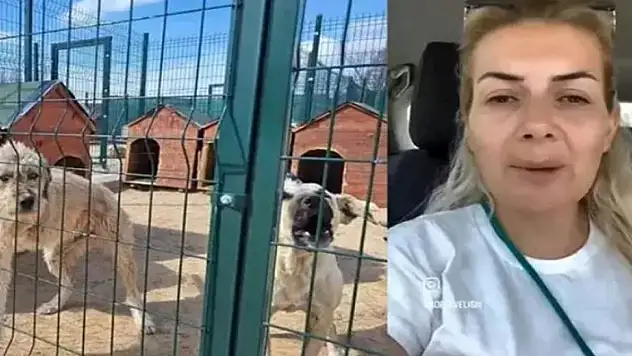 Yaşama Tutunan Patiler Derneği Başkanı Özgünlü hakkında dava açıldı