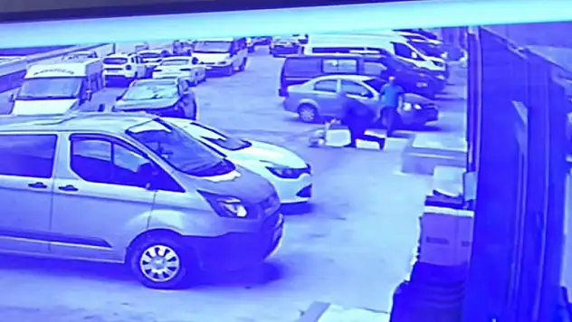 Artvin'de sokak köpeğine kürekle saldırı tepki topladı