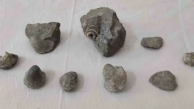 400 bin yıllık fosili satmaya çalışırken jandarmaya takıldı