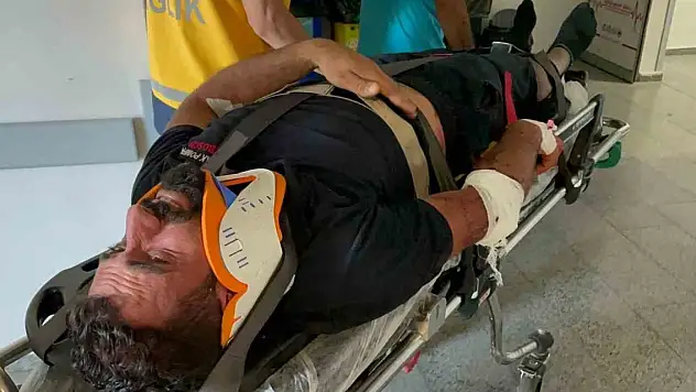 Küçükbaş kurbanlık yüklü tır devrildi!