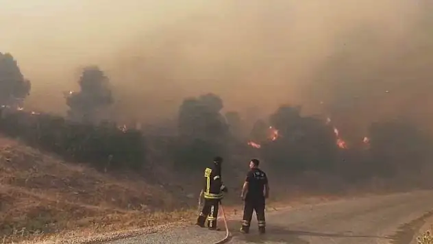 Aydın'da orman yangını