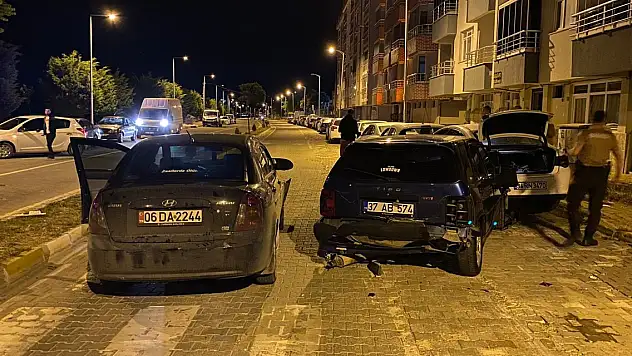 Yola çıkan köpek kazaya neden oldu: 6 yaralı