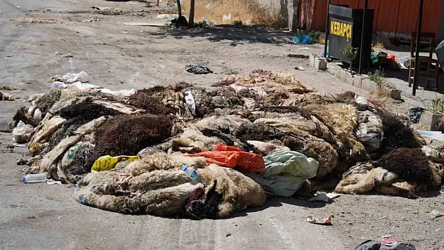 Gaziantep'te mide bulandıran görüntüler