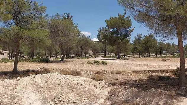 Mersin'de cinayet: 2 ölü