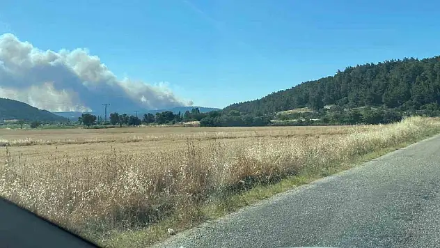 Çanakkale yangınında Anafartalar köyü boşaltıldı