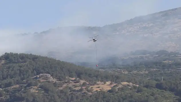 Manisa'da orman yangını kontrol altında