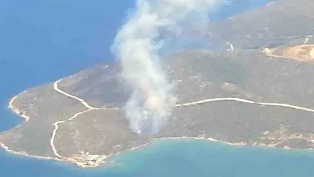 İzmir'de orman yangını