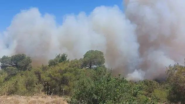 Soma'daki orman yangını kontrol altına alındı