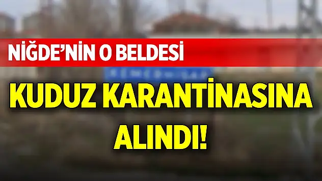 Niğde'nin o beldesinde kuduz karantinasına alındı!