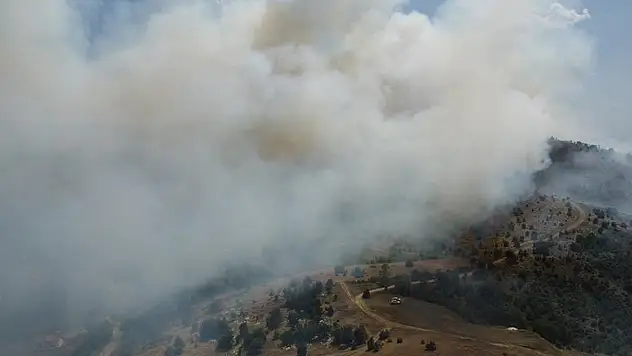 Ormanlık alanda yangın! Müdahale ediliyor