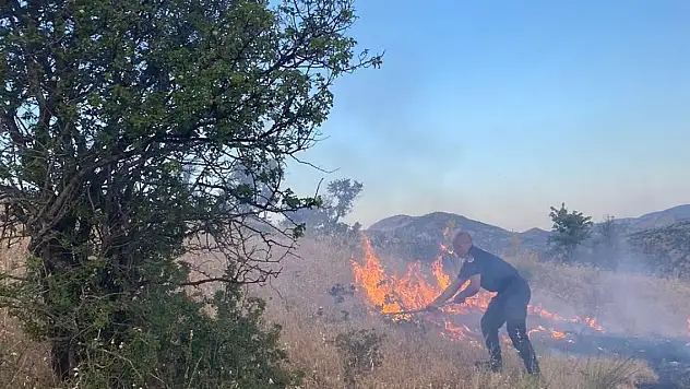 Arpa tarlası kül oldu