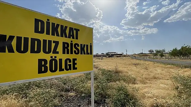 Mahalle kuduz nedeniyle karantinaya alındı