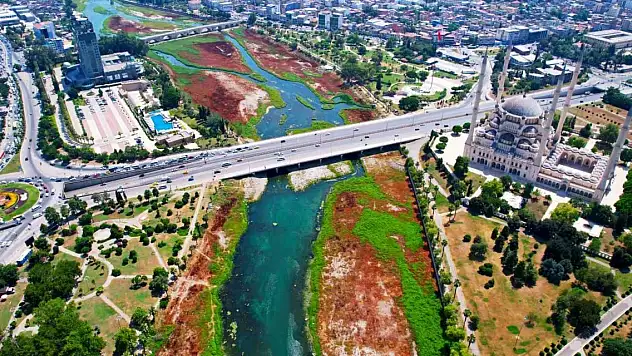 Yosunlar insan boyunu geçti, kötü koku kenti kapladı