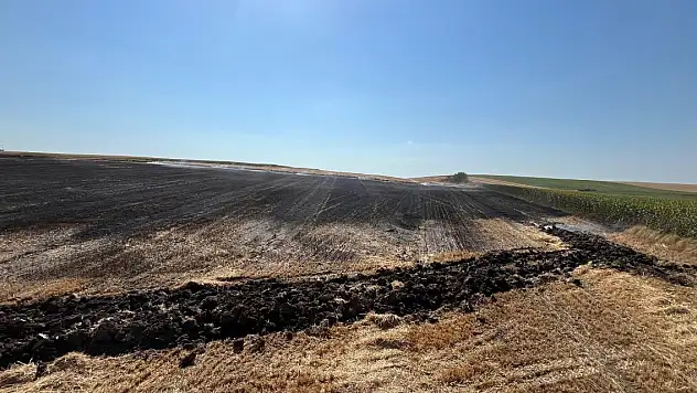 Kuş, buğday tarlasını yaktı